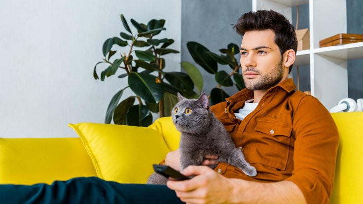 ABD'de araştırma: Kadınlar kediyle poz veren erkekleri 'itici' buluyor