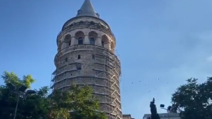 Galata Kulesi'ne yuva yapan ebabil kuşları restorasyonu erteletti