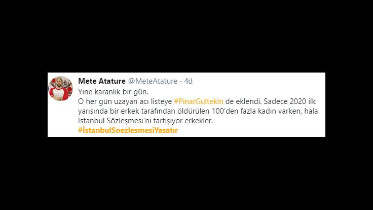 Pınar Gültekin cinayeti sosyal medyada: İşte bunun için İstanbul Sözleşmesi uygulansın diyoruz - Sayfa 3