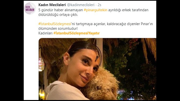 Pınar Gültekin cinayeti sosyal medyada: İşte bunun için İstanbul Sözleşmesi uygulansın diyoruz - Sayfa 2