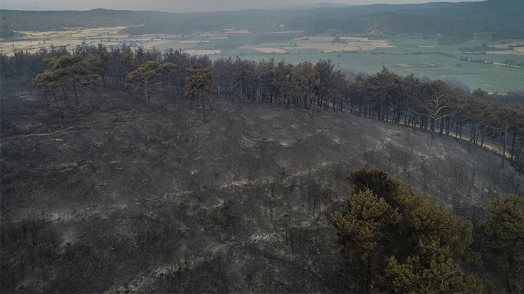 Yılda 2 bin 388 orman yangını çıkıyor