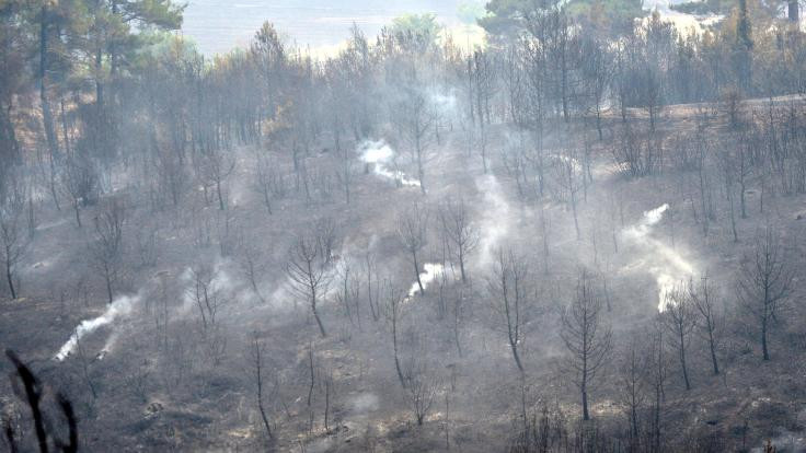 Gelibolu'da 450 hektar orman yandı