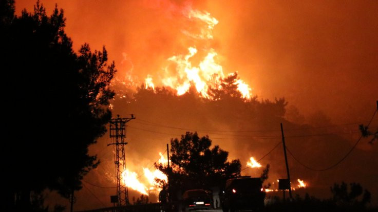 Pakdemirli: Menderes'teki yangınla ilgili bir gözaltı var