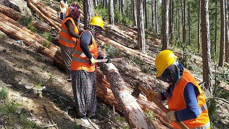 Orman köylülerinin kredilerinde düzenleme: Faiz alınmayacak