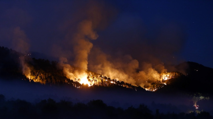 Ankara'da orman yangını: 4 mahalle boşaltılıyor