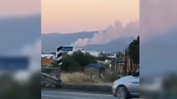 İzmir Bergama'da ormanlık alanda yangın
