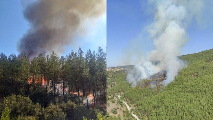 Kavaklıdere'de dört orman yangını çıktı