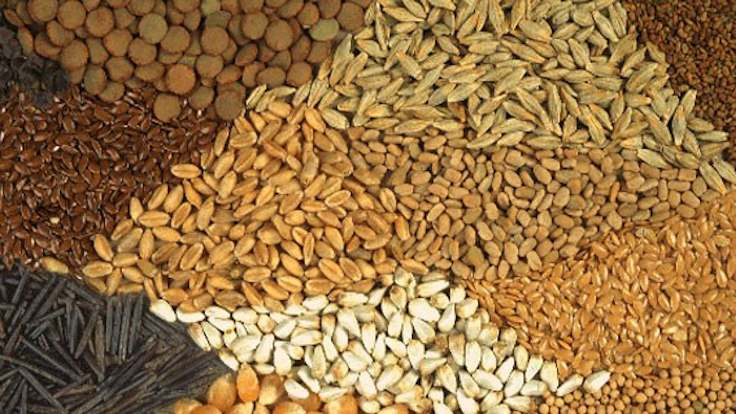 Korona döneminde tohum fiyatlarına yüzde 20 zam