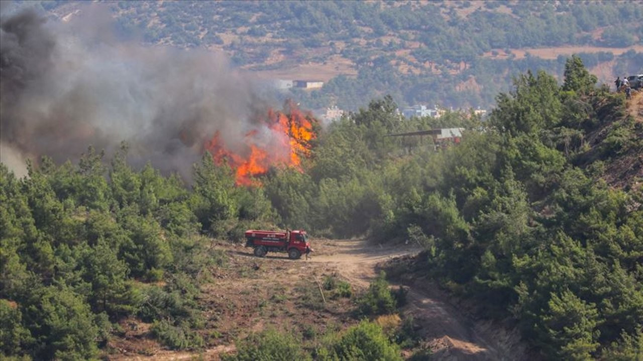 HDP: Doğaya yönelik her türlü saldırıyı kınıyoruz