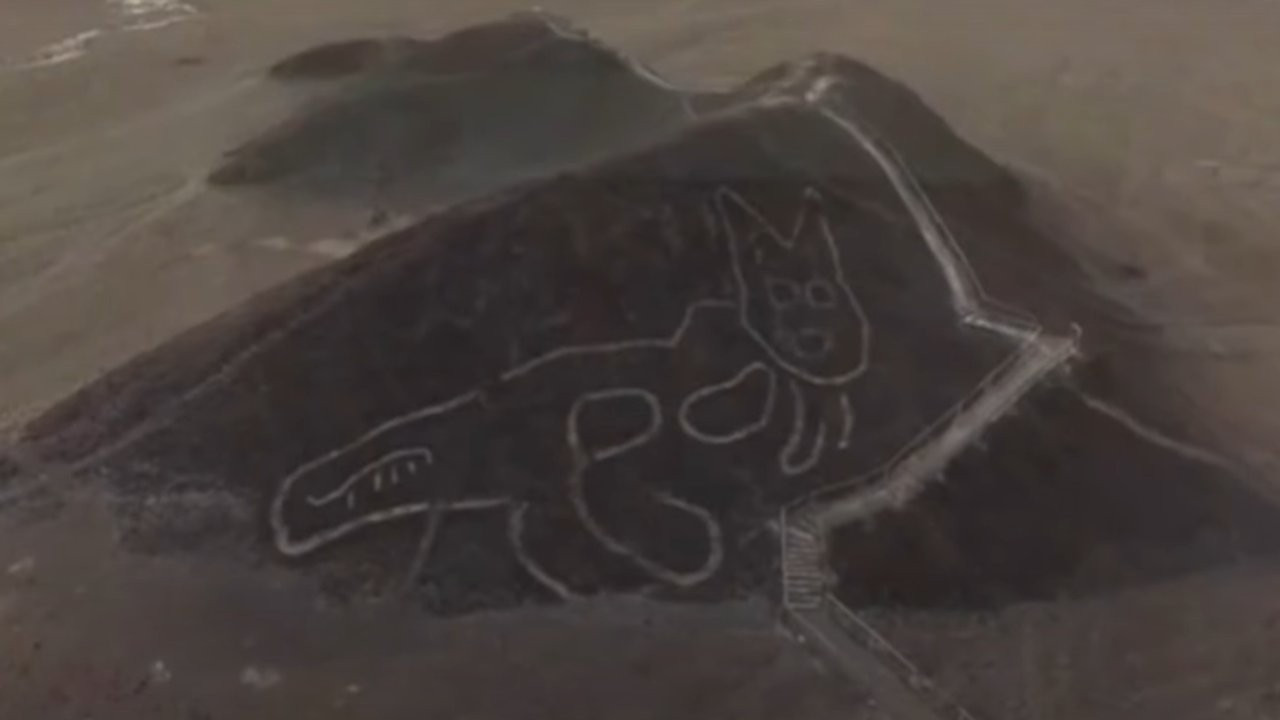 Nazca Çizgilerinde yeni keşif: Peru'da 2 bin yıl önce bir tepeye kazınmış dev kedi bulundu
