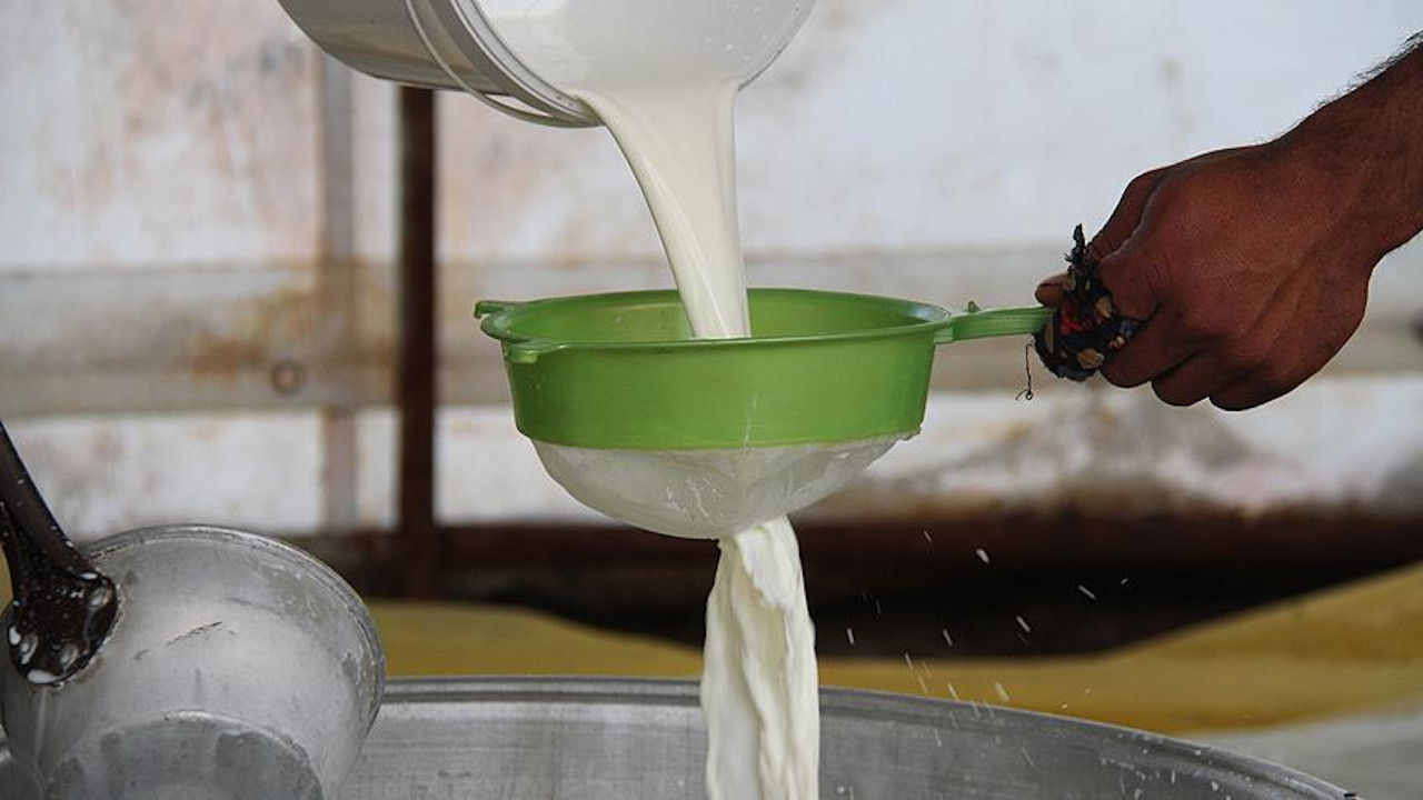 TARIM-KOOP Başkanı Özkurnaz: Sütün fiyatı artmadı, üretimi düştü