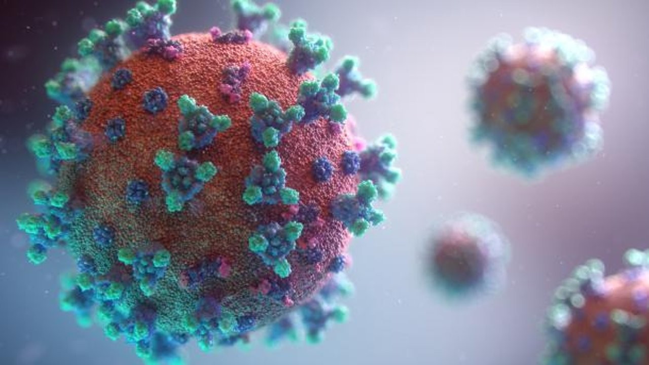 Virüsün ABD'ye özgü yedi varyantı keşfedildi