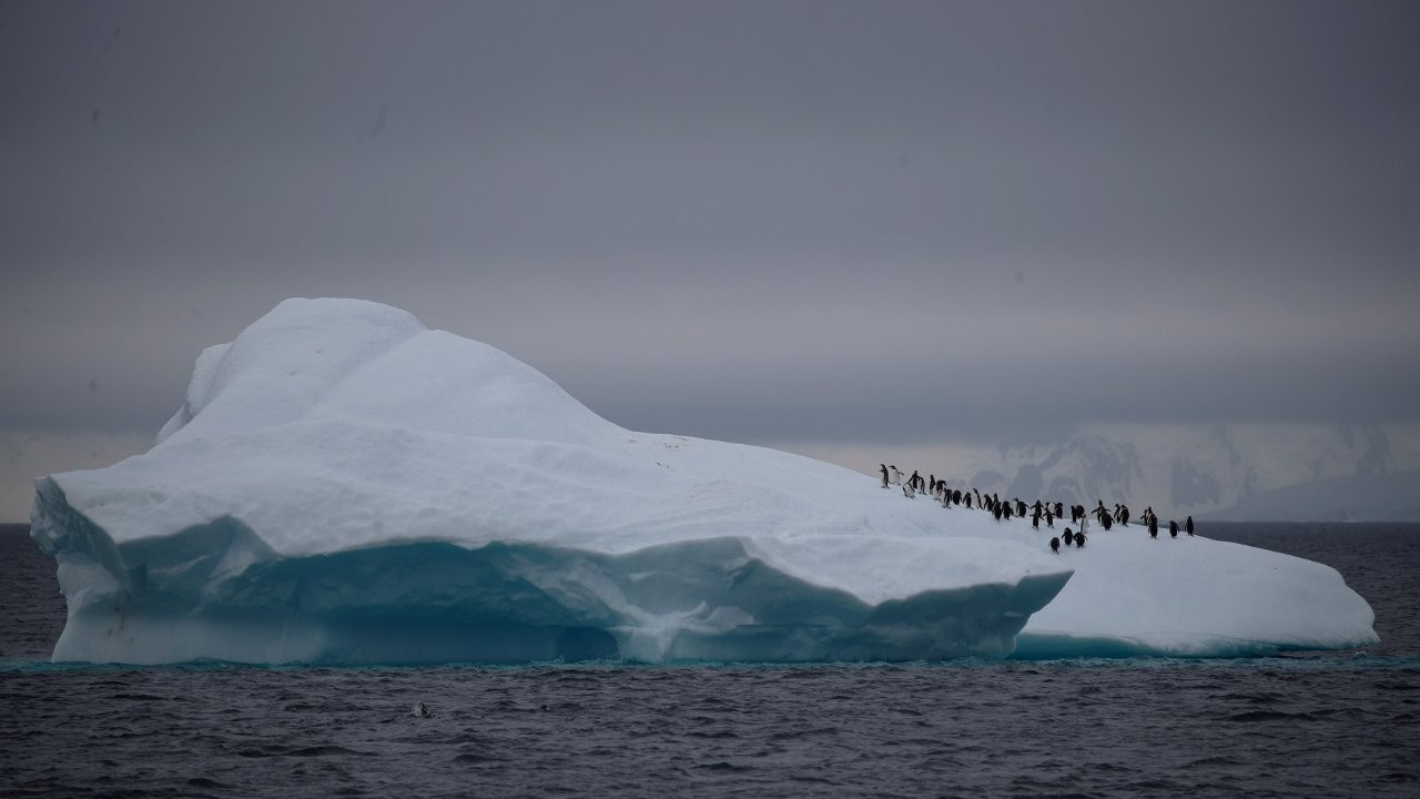 Antarktika'da ilk Covid vakaları tespit edildi