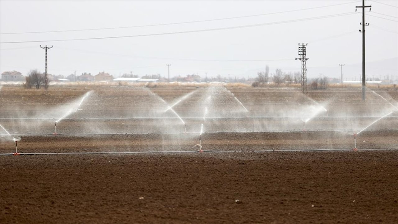 Konya'da kış ortasında tarlalar sulandı