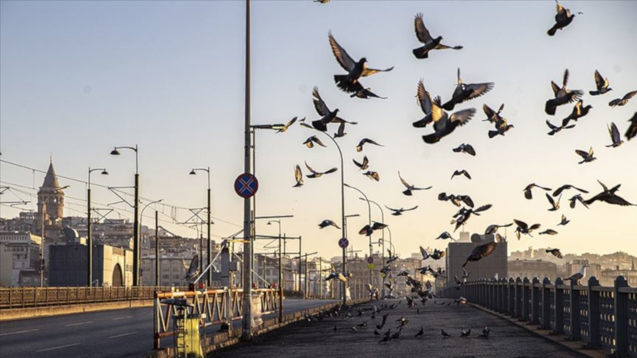 'Hedef 15 Mart'ta okulları ve restoranları açmak'