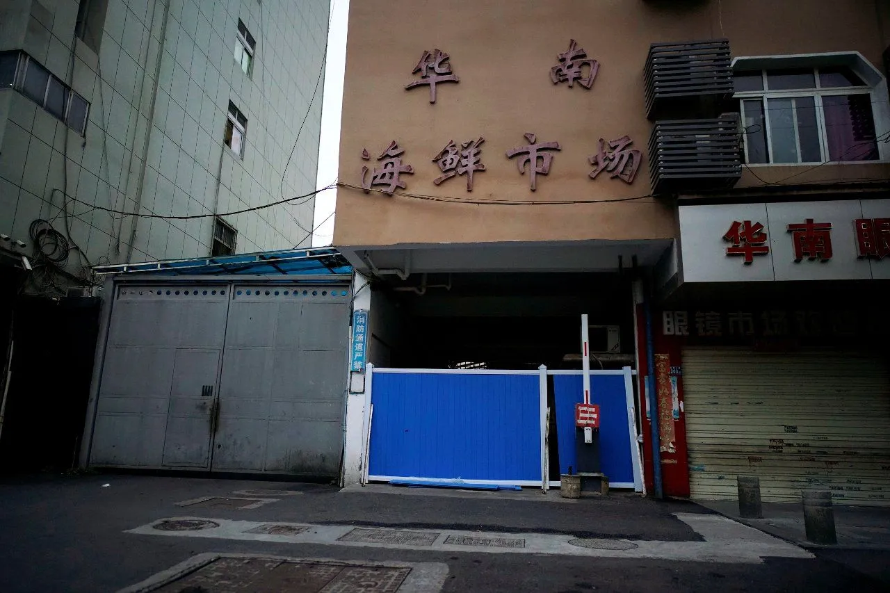 wuhan11-Ak4W.jpg.webp