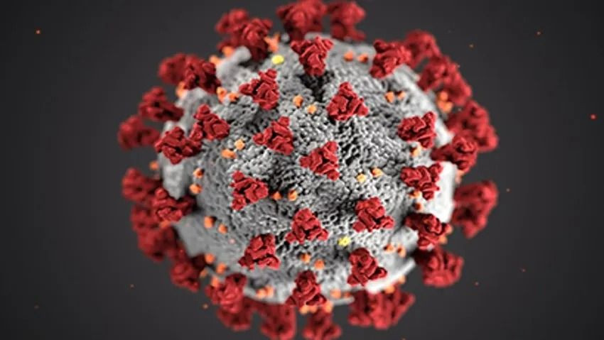 Korona virüsü salgınında vaka sayısı 100 milyonu geçti - Sayfa 1