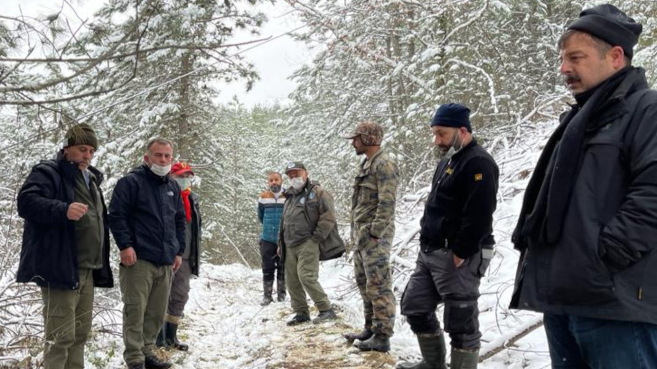 Kaçak avcılar hamile karacayı öldürüp derisini yüzerken yakalandı