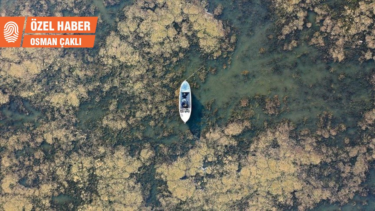 Çevreci Hakkı Uysal: Marmara Gölü'ndeki planlama hatası kurumaya neden olabilir