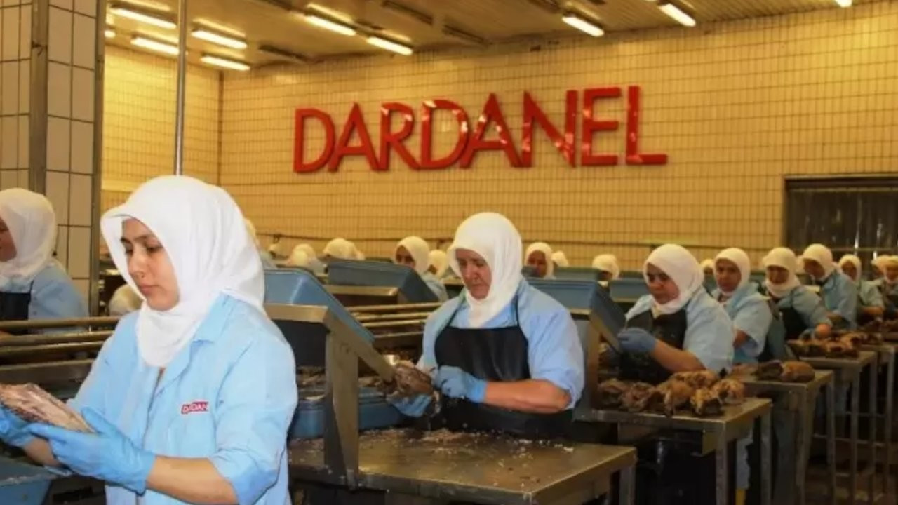 Dardanel sosyal medyayı ikiye böldü: Hijyenik mi?