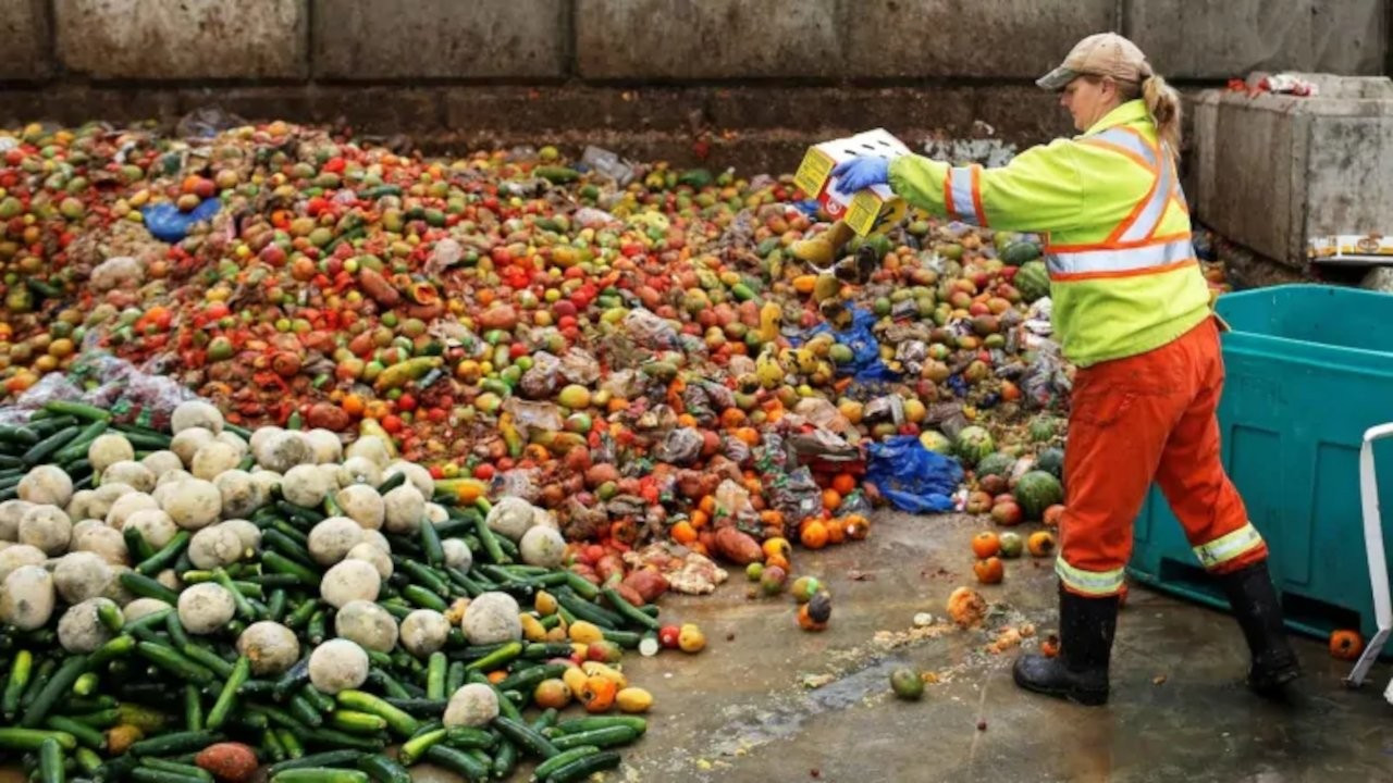 BM: Türkiye'de her yıl 7.7 milyon ton yiyecek çöpe atılıyor