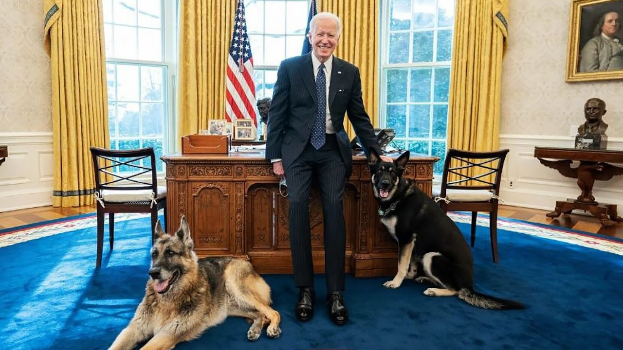 Biden'ın köpeği Beyaz Saray'da bir kişiyi daha ısırdı