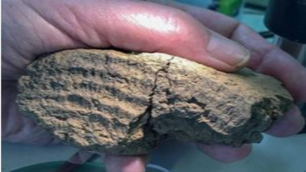 5 bin yıllık çömlekte parmak izi keşfedildi