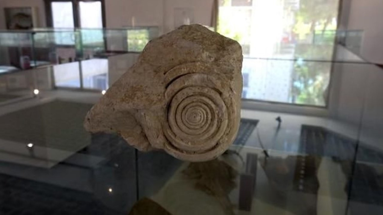 Mersin'de 60 milyon yıl öncesine ait salyangoz fosili bulundu