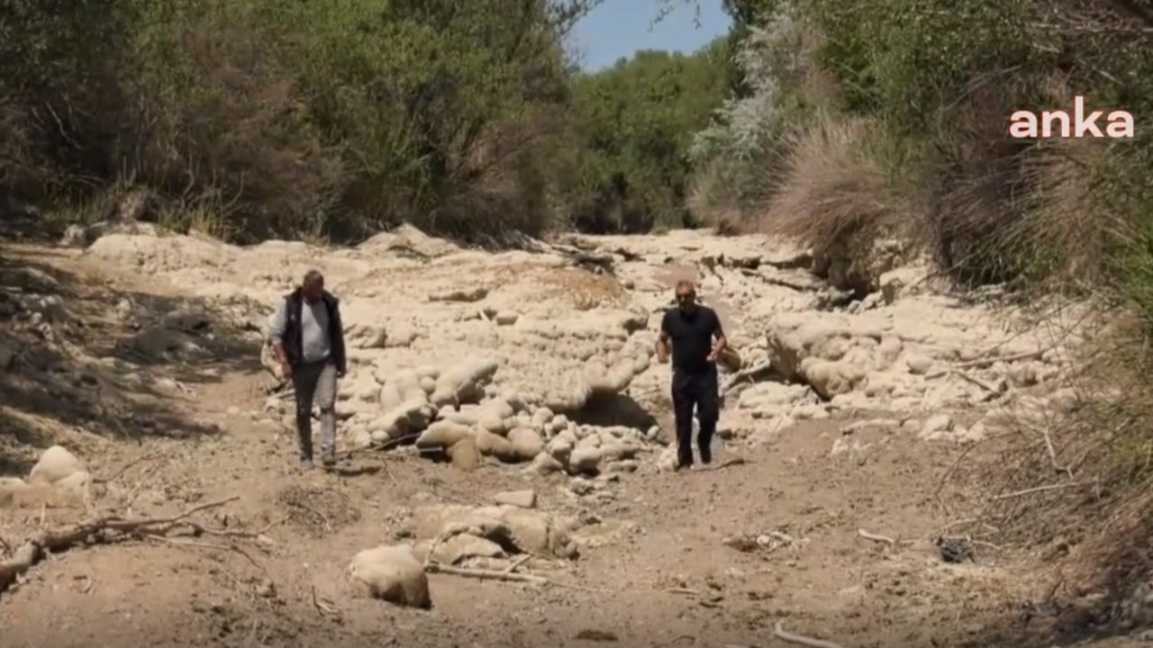 Türkiye'nin üçüncü en uzun nehri Sakarya'nın kolları kuruyor