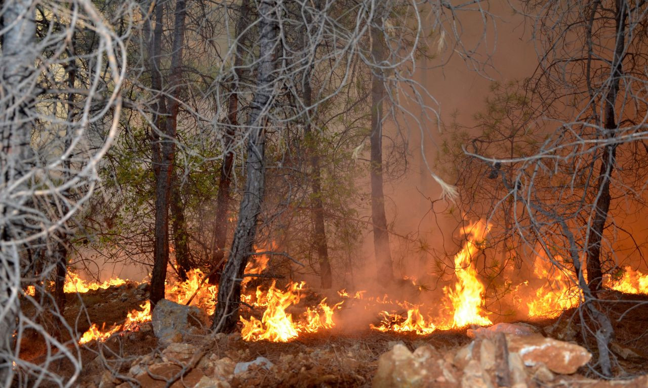 Antalya'da 3 günde 22 orman yangını: 'Olağanüstü bir durum' - Sayfa 3