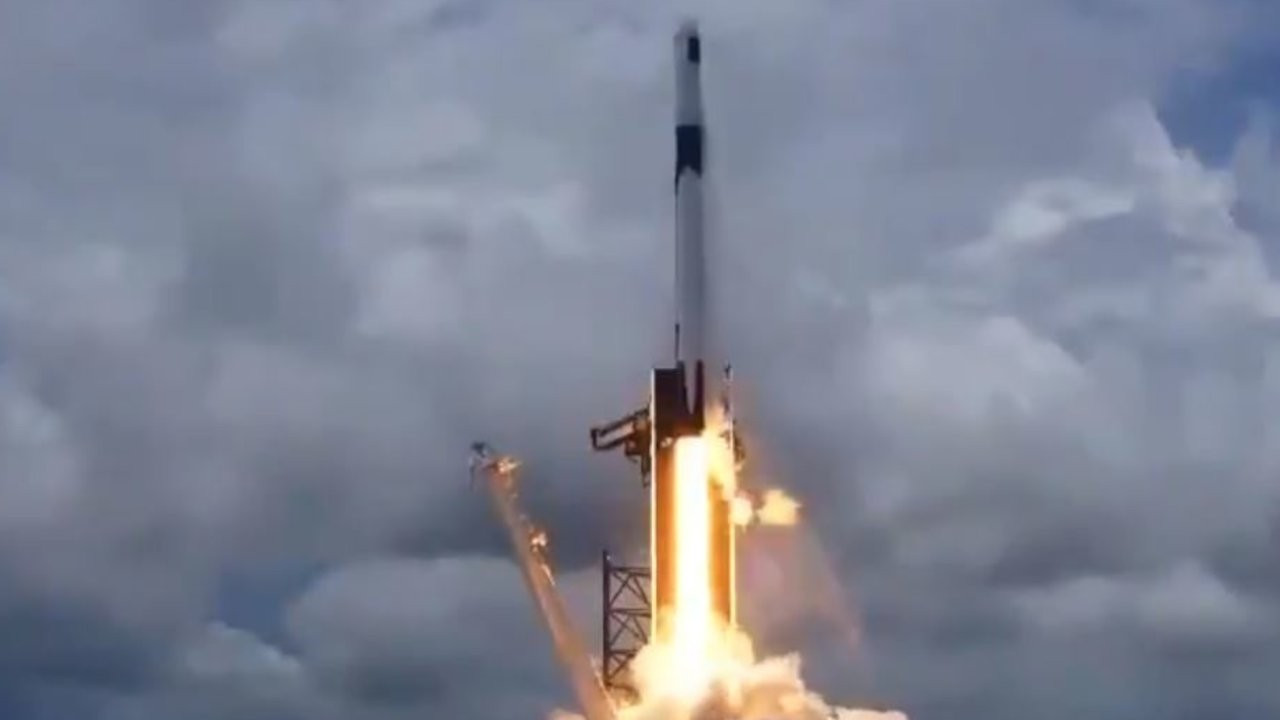 SpaceX uzaya su ayısı, kalamar ve Şili biberi götürdü