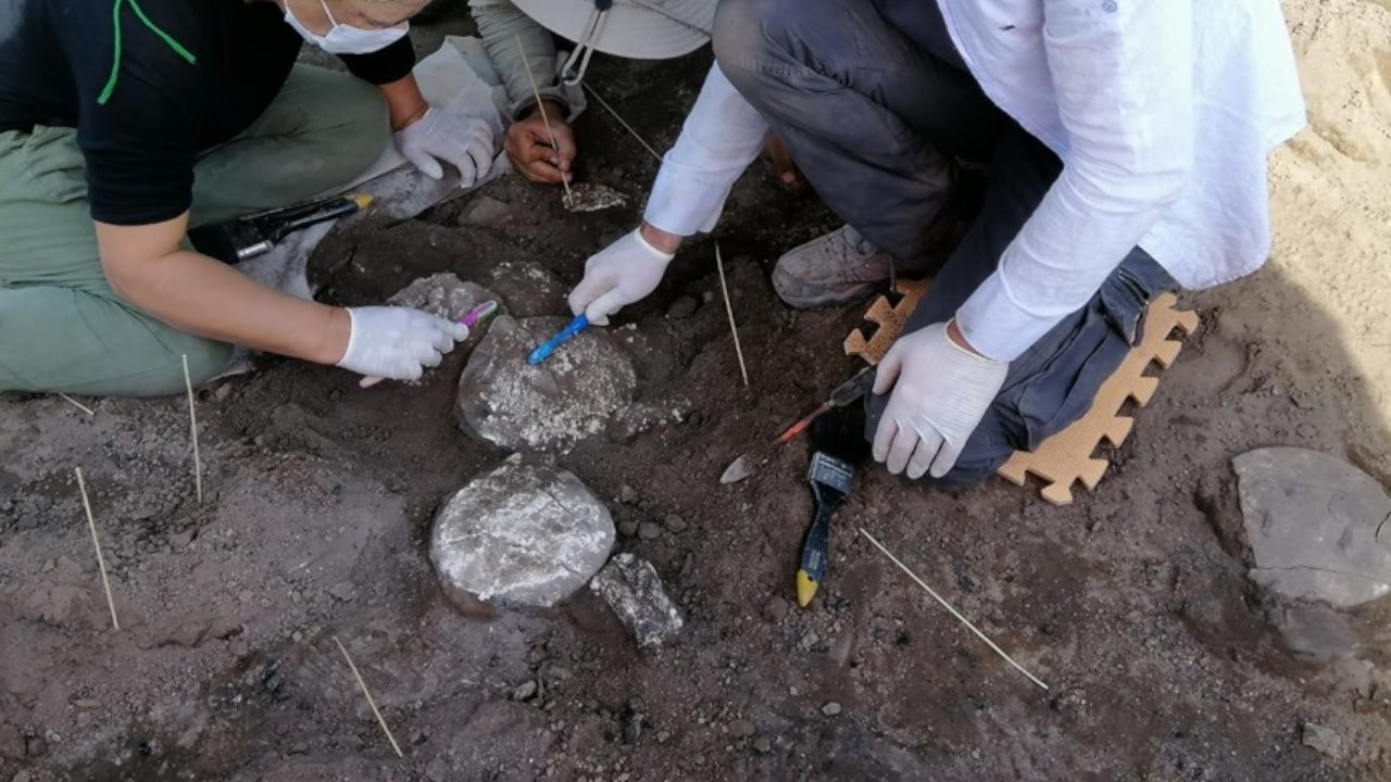 Bakanlık, arkeoloji kazılarına yalnızca 105 bin lira bütçe ayırdı