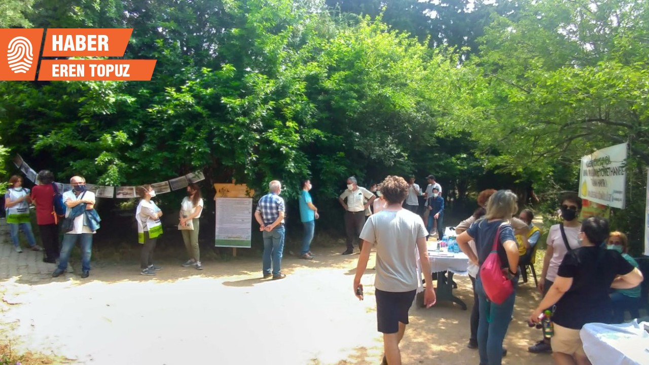 Validebağ Korusu'nda polis eşliğinde temizlik: Burası bir park gibi ele alınamaz