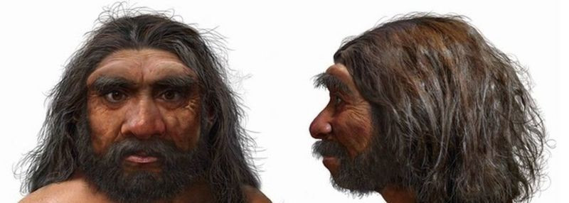 146 bin yıllık kafatası: Yeni bir insan soyuna ait olabilir - Sayfa 2