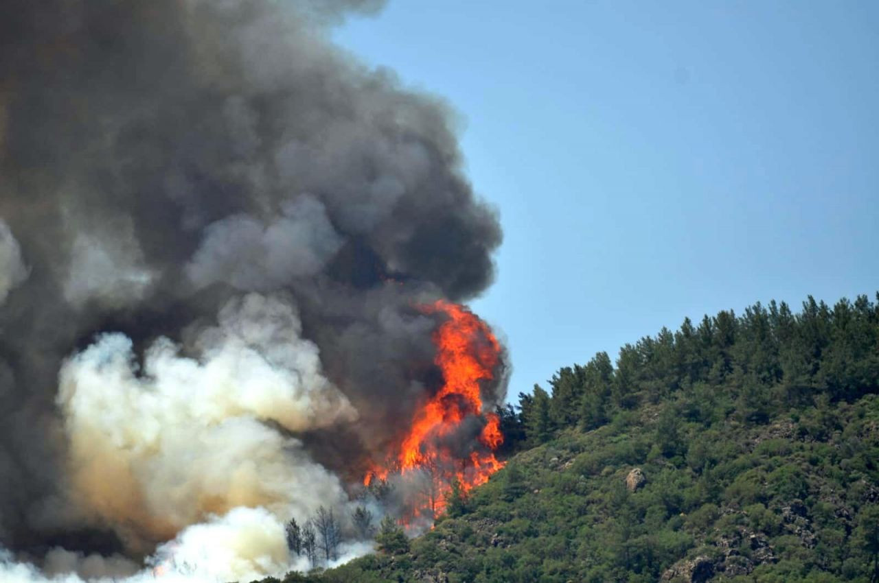 Marmaris'te orman yangını: Bir görevli vefat etti - Sayfa 2