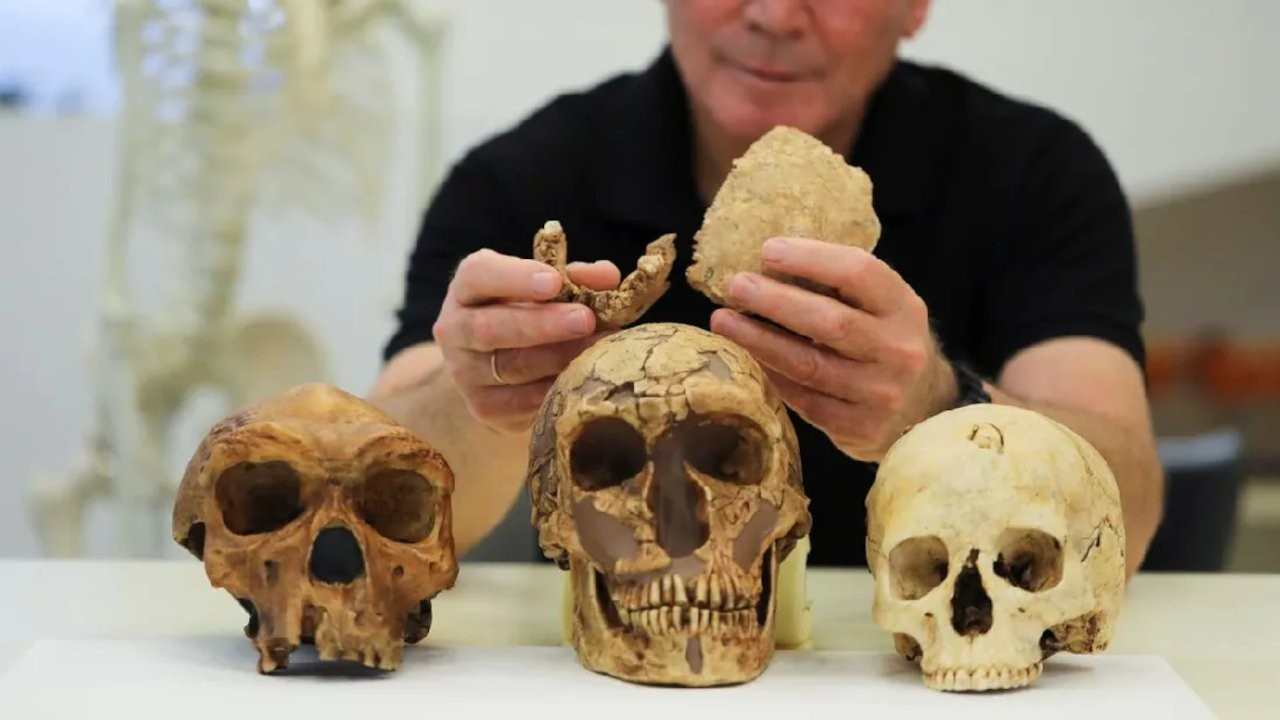 İsrail’de keşfedilen antik insan türü hakkında neler biliniyor?