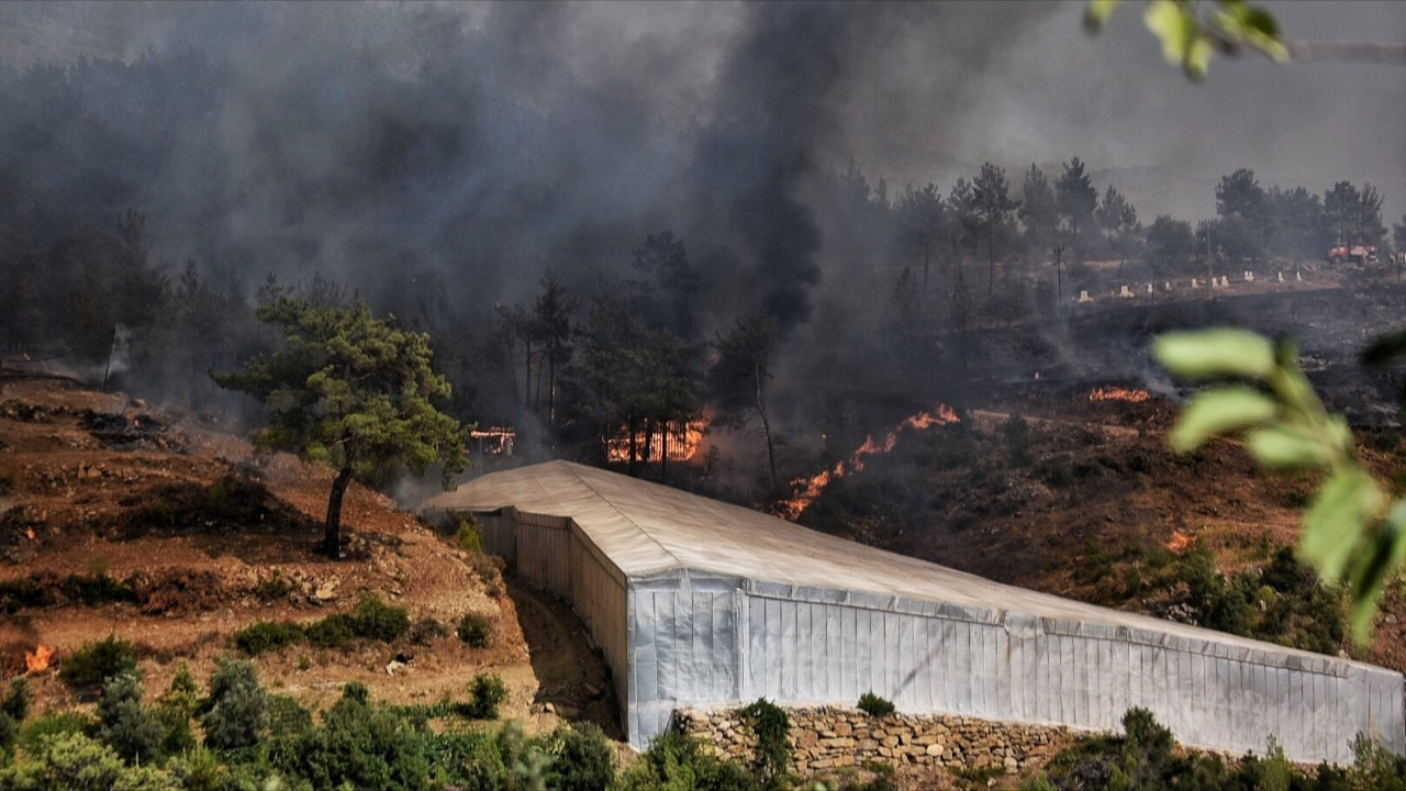 Mersin'de orman yangını: 'Riskli bir yangınla karşı karşıyayız'