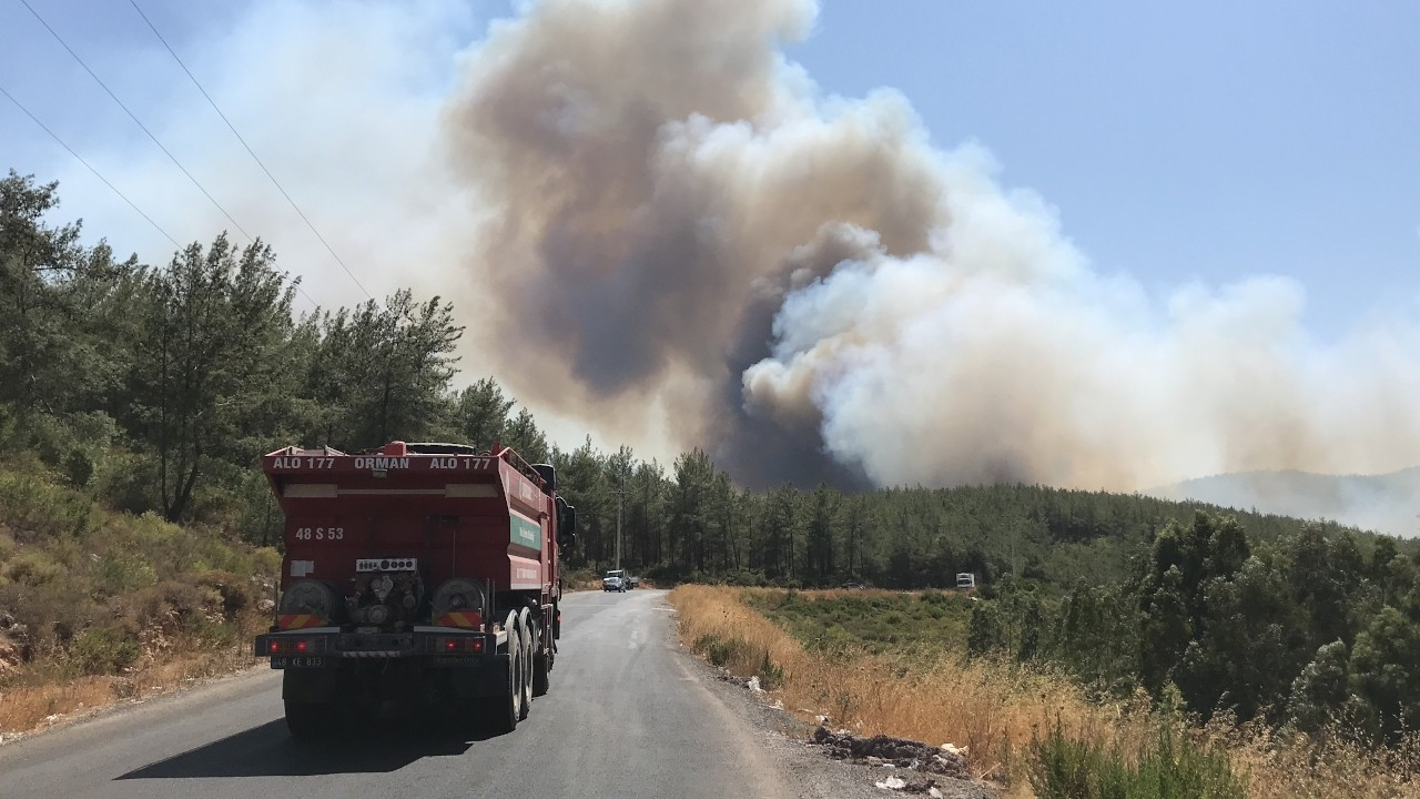 Bodrum'da ormanlık alanda yangın: Güvercinlik'te bir otel boşaltılıyor