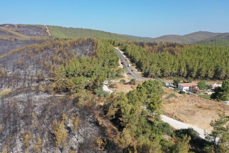 Bodrum yangını: 80 hektar orman alanı yok oldu - Sayfa 4