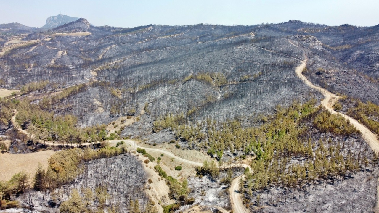70 orman yangını kontrol altına alındı, 11 yangın devam ediyor