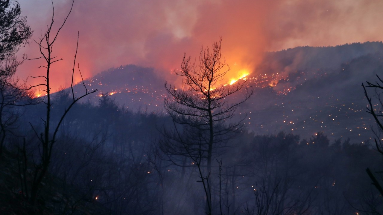 AFAD'dan orman yangınlarıyla ilgili açıklama: Toplam 4 kişi öldü