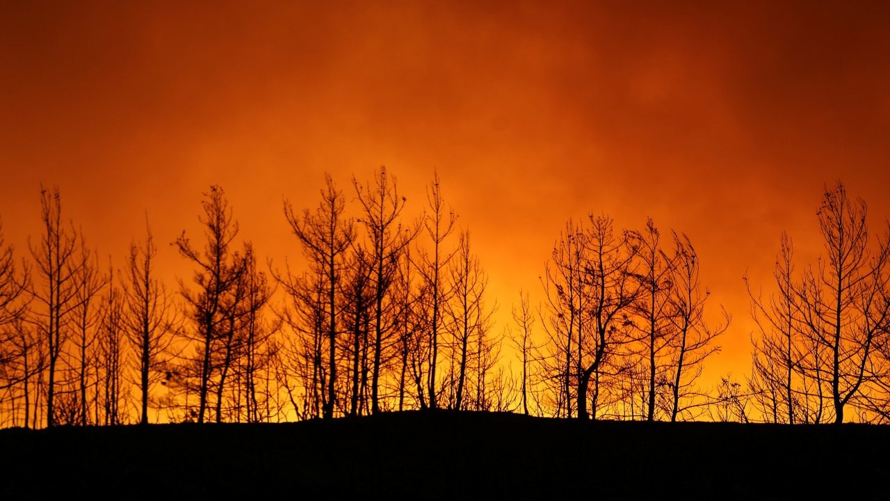 AB'den orman yangını açıklaması: Türkiye’nin acısını paylaşıyoruz