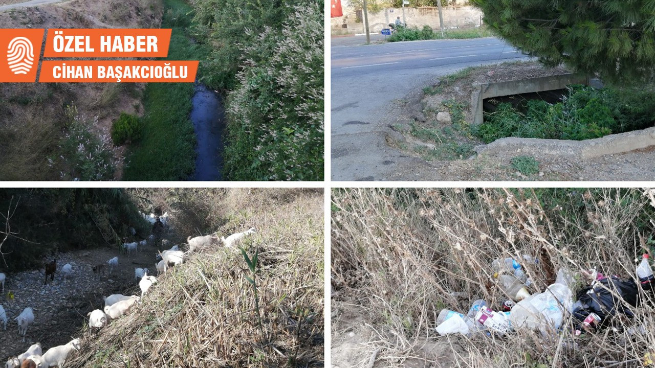 Ahmetbeyli'de kanalizasyon suyu dereye bırakılıyor