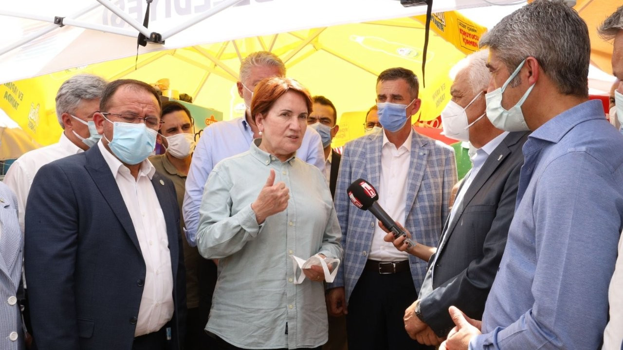 Akşener: Yanan alanlara dikilecek bütün betonları yıkacağız