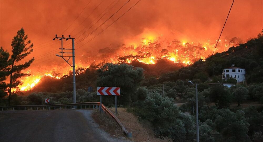 Muğla, Antalya, Mersin, Dersim... Orman yangınlarında son durumlar - Sayfa 4