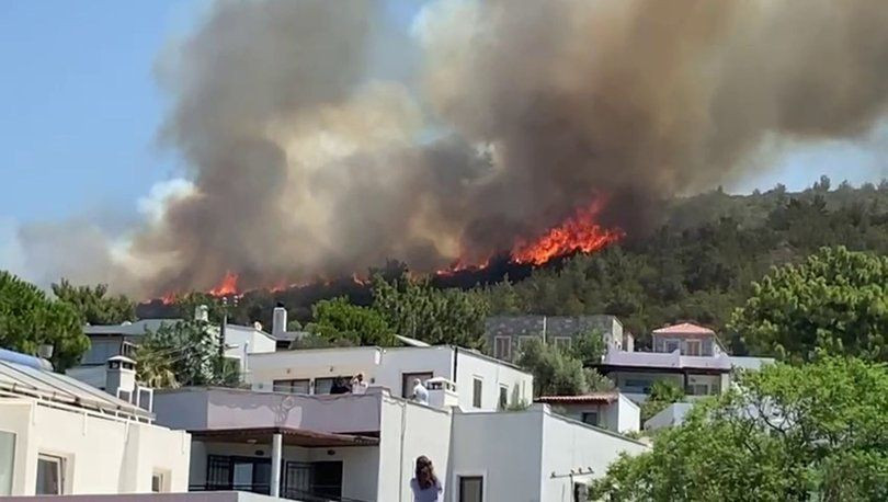 Zülfü Livaneli'den yangın paylaşımı: Yangın süratle Bodrum'a doğru geliyor - Sayfa 1