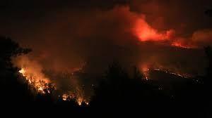 Zülfü Livaneli'den yangın paylaşımı: Yangın süratle Bodrum'a doğru geliyor - Sayfa 4