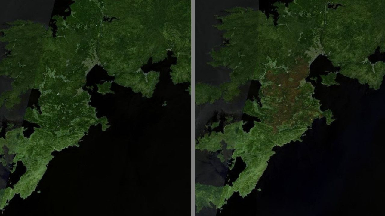 Öncesi ve sonrası: Uydudan yangın görüntüleri - Sayfa 1