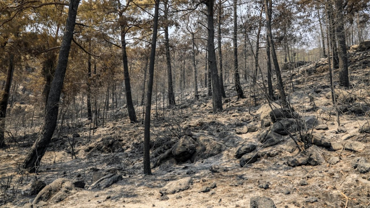 Manavgat'ta yangının 10. günü: Küle dönen orman alanı 100 bin hektarın üzerinde