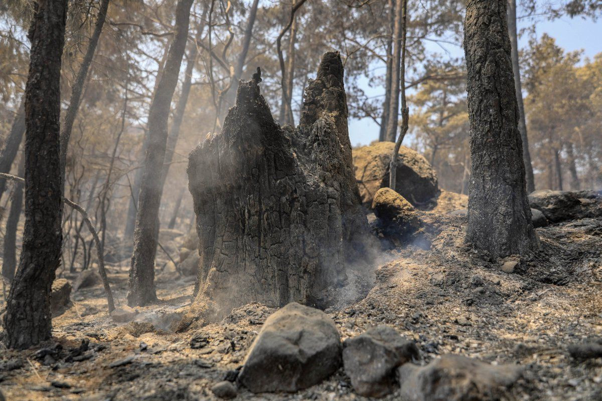 Manavgat'ta yangının 10. günü: Küle dönen orman alanı 100 bin hektarın üzerinde - Sayfa 1